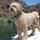 sandi_gravitt