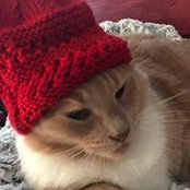 Amanda Splittorf's photo