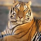 Lorrie Morris's photo