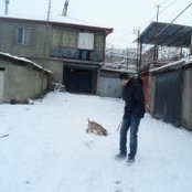 Gio Londaridze's photo