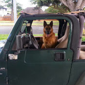 Michael Mollohan Sr's photo