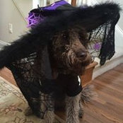 Melissa Pedron's photo