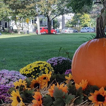 Fall Decor