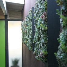 Outdoor Patio
