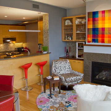 Downtown Madison, WI Condo