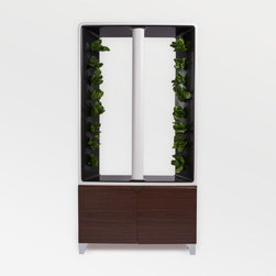 The AEVA Indoor Garden - Gardening And Lawn Care