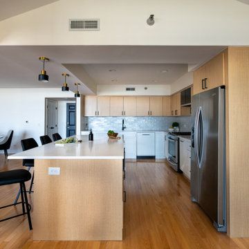 Niles Condo Kitchen Remodel