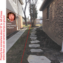 Fence & Landscaping