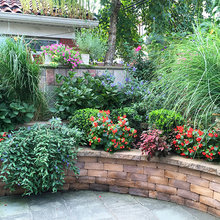 Landscape Ideas