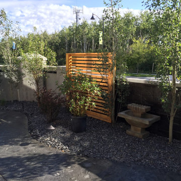 Aspen Outdoor Kitchen & Fireplace