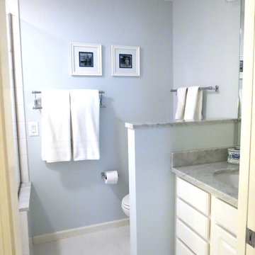Indianapolis Master Bath Remodel