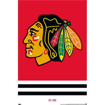 NHL Chicago Blackhawks - Logo 21