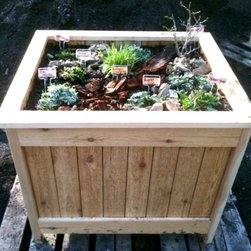 planter box with mini native landscape - Products