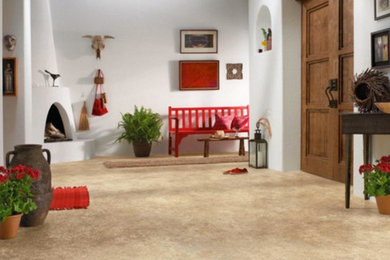 Entryway - large rustic vinyl floor entryway idea in Other with white walls and a dark wood front door