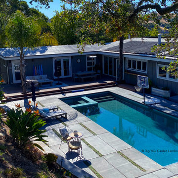 Modern Pool, Patio and Landscape Renovation - Sleepy Hollow/San Anselmo, CA