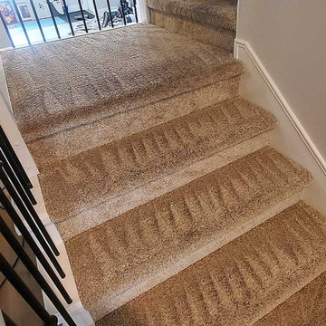 Urine Removal From Stairs in a House Located in Maple Ridge BC Canada