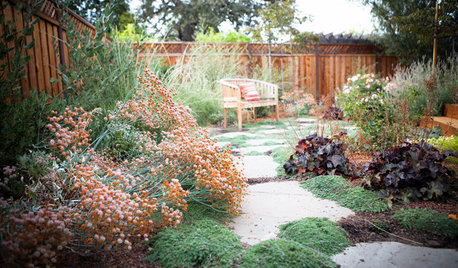 California Gardening: Tips From the Experts