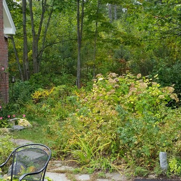Private Backyard Plunge Pool in New England