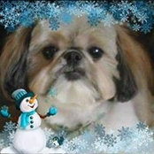 Carol Xaudaro's photo