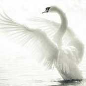 Sultanah AL-Sultan's photo