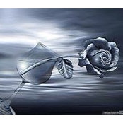 Arshad Hussain's photo