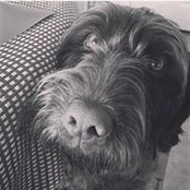 Patty Schmitz's photo