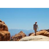 Nick Vogt's photo