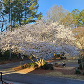 Becky Benton's photo