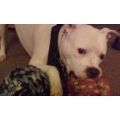 Craig Bowen's photo