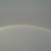Irone Orbins foto