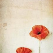 Photo de Magdalena Bardzinska_Frank
