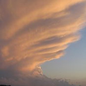 Erica Robeen's photo