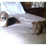 Tina Joelson's photo