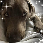 Anne Seidel's photo
