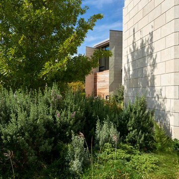 Front, "dry" side of house with native plants and grasses