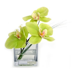Green Phalaenopsis Glass Square - Products