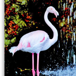 Canvas prints - "Flamingo Raindance" - Photographs