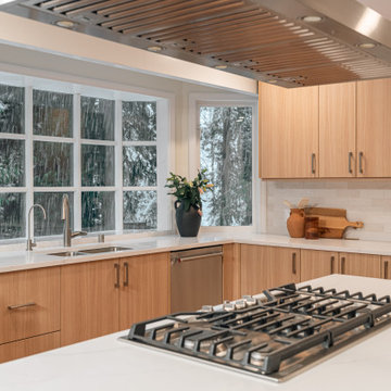 Sammamish Full Home Remodel and ADU