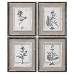 Botanical Study Leaf Berry Flower Wall Art Gold Frame Set Of 6 ~ Uttermost  33651