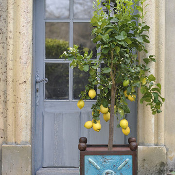 Planters