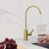 Stainless Steel Drinking Water Faucet in Gold