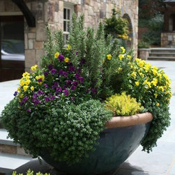 Container gardening - Products