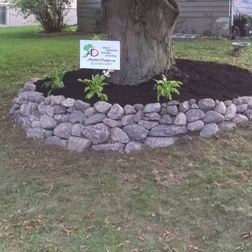 Valley West Boulder Tree Ring