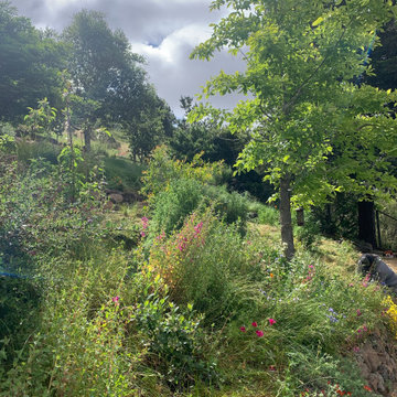 Hillside Flower Meadow + Food Forest