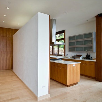 Mid-Century Overlook