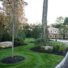 Landscape Ideas