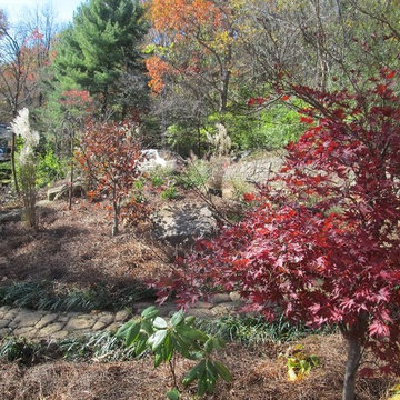 Signal Mountain Rain Garden