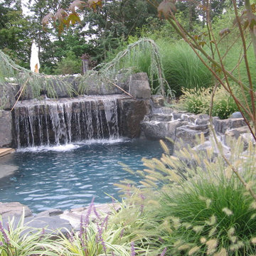 Backyard Resort Area & Tennis Court