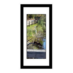 Anhinga and Egret - 1660 - framed - Photographs