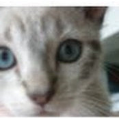 Katrina Mohn's photo